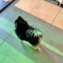 CU서천점 이미지