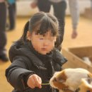 생각이 무럭무럭 | 용인 무럭무럭농장 체험 후기