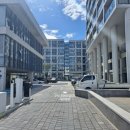 서호동-50 이미지