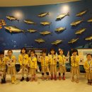 울릉초등병설유치원 이미지