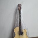 통기타와 놀자 이미지