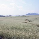 비사벌농장 이미지