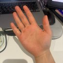 2019년 08월 문화가 있는 날 영화상영<기생충> | 일하고 맥주 마시고 영화 보고 쇼핑하고 두쫀쿠 만들고 운동 가는 스페인 바르셀로나 일상