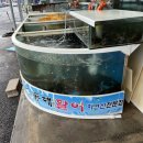 동해활어자연산전문점 | [동해 활어 자연산 전문점] 매년 방문하는 강원도 아야진 물회, 회덮밥 찐맛집 내돈내산 솔직후기