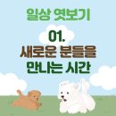 댕블리냥 이미지