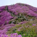 중앙공원 주차장정문 이미지