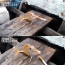 서운우체국 이미지