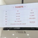 인형천국 | 제주도 가볼만한 곳 헬로키티아일랜드 솔직후기ㅣ귀여운 것을 좋아하면 이 곳은 천국일것