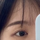 지나핑퐁 | [성신여대 속눈썹펌] 잘하는 곳 핑퐁래쉬 내돈내산 솔직후기💖