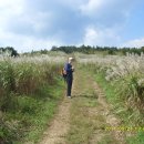 영일만온천 이미지