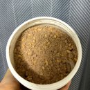 도리돈 | [후기]식사대용 단백질쉐이크,프리밀 밸런스 단백질쉐이크 내돈내산