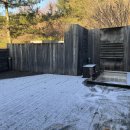 타피올라 이미지