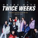 SSF스포츠