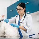 온동물병원 이미지