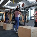 필라핏 156 이미지