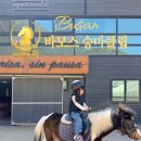 바보스 부산정관점 | 부산 승마체험 유아 포니 승마 바모스승마클럽