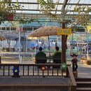 홍천동키마을 이미지