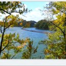 선비 코스 이미지