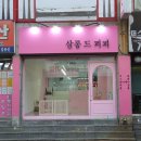 살롱드퍼피 이미지