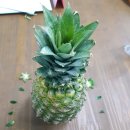 우리푸드. 이미지