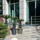 프린스세탁소 이미지