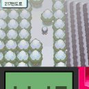 선단진입도로 이미지