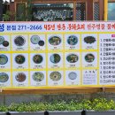 신대유성