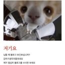 바다사랑회포차
