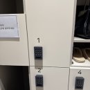 편평사마귀 제거 후기 / 상반신,목 비용 (합정) 듀오덤 알러지