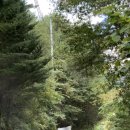 무릉도원면-13 | 영월 산골 캠핑장 13번 게이트 법흥 계곡 캠핑장 샤워실 화장실 후기