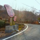 구난이약나무마을 이미지