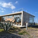 명진세탁 | 2025 가을제주 - 1