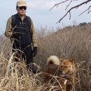 산사랑산약초 이미지