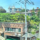 프리마 베라 이미지