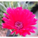 연욱농장 이미지