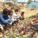 종점농장 이미지