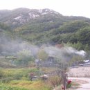 스테이자연도 이미지