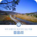 중흥리마을회관 네이버블로그