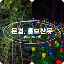 틀모산 도시숲 이미지