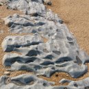 롯데리아(백령점) 이미지