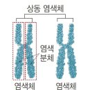 카페버킷리스트 이미지
