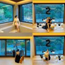 한가스테이 | 강원도펜션 횡성풀빌라 두돌파티 한가스테이