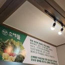 두부애뜰 | 🥩 대구갈비찜맛집 소애뜰본점 — 1+ 한우의 진수를 느낄 수 있는 대구소갈비찜맛집
