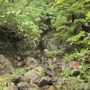 태백고원자연휴양림 이미지