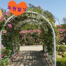 선스케이프 이미지