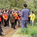 국립농산물품질관리원 진주사무소 | 국립농산물품질관리원 진주사무소 스타팜 체험<류진농원&amp;장생도라지>