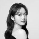 네동세