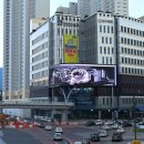 41 서울일보