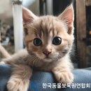 동물보육원 안산지부 이미지