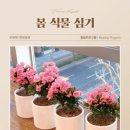 강동성모요양병원 이미지